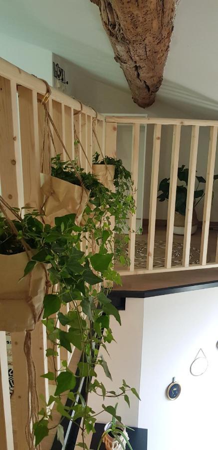 Studio Mediterraneenne Montpellier Ngoại thất bức ảnh